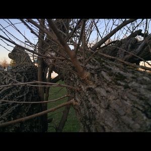 Meet your Posher, Monica